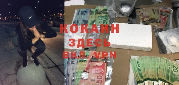 спайс Алексин
