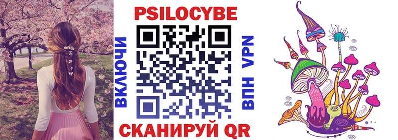 Галлюциногенные грибы Cubensis Андреаполь