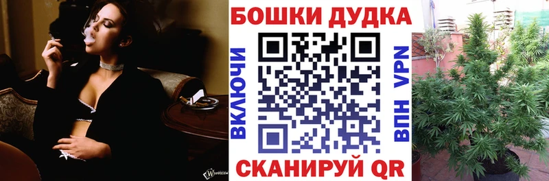 Бошки Шишки VHQ Андреаполь